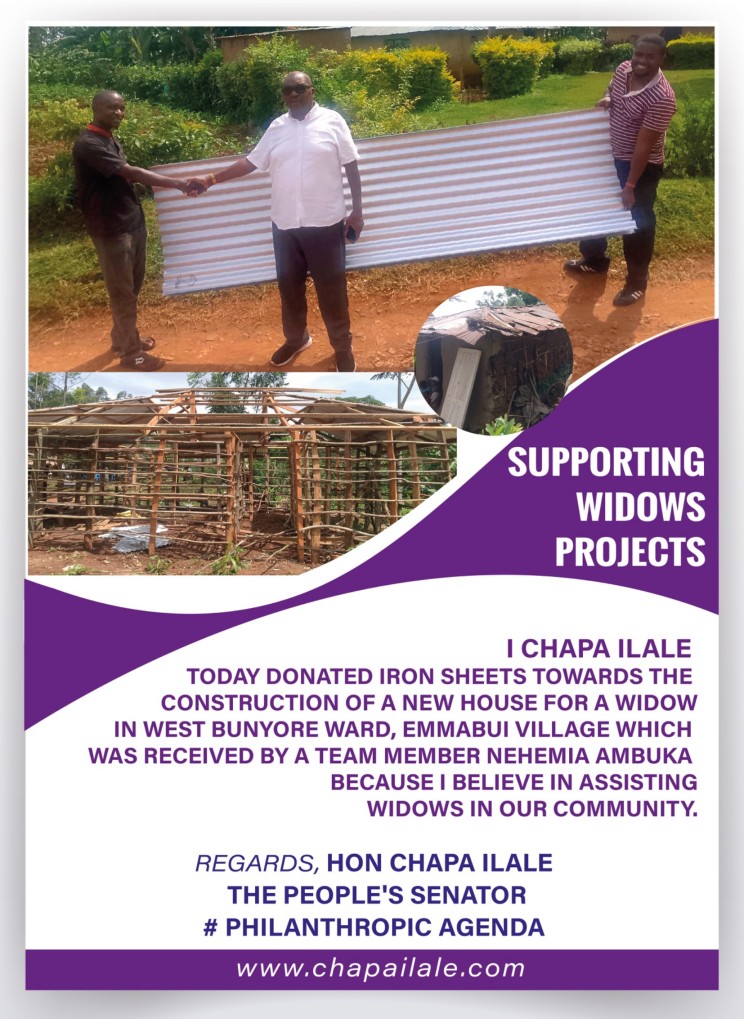 widow-projects