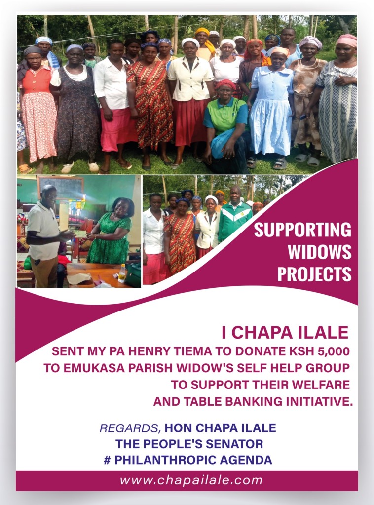 widow-projects-a